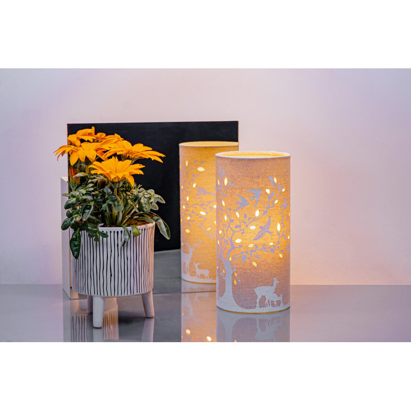Novelty Lamp