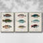 Antique Fish Trio I, ensemble de 3 toiles encadrées sur toile-97760249-97760253
