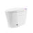 Smart One-Piece Toilet