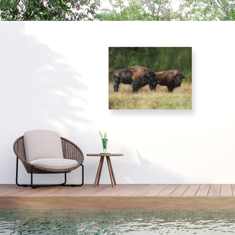 Paire de bison David, H 24 po x l 32 po