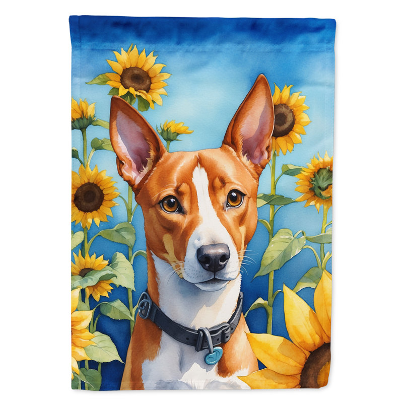 Lévrier irlandais dans le drapeau du jardin de tournesols, Basenji