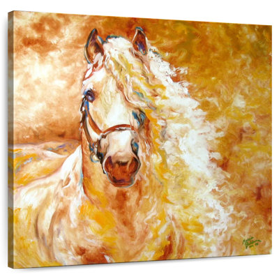 Brampt Golden Grace andalou équin