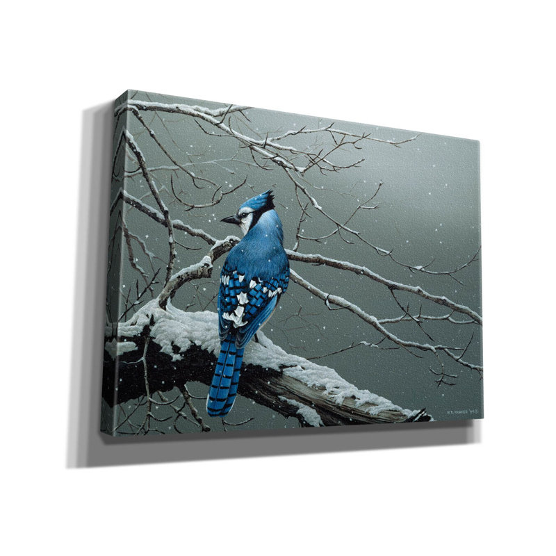 «Winter Jay on Canvas» par Ron Parker, reproduction, H 12 po x l 16 po x P 0,75 po
