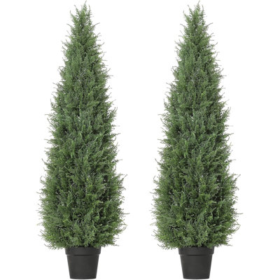 36cm Plant