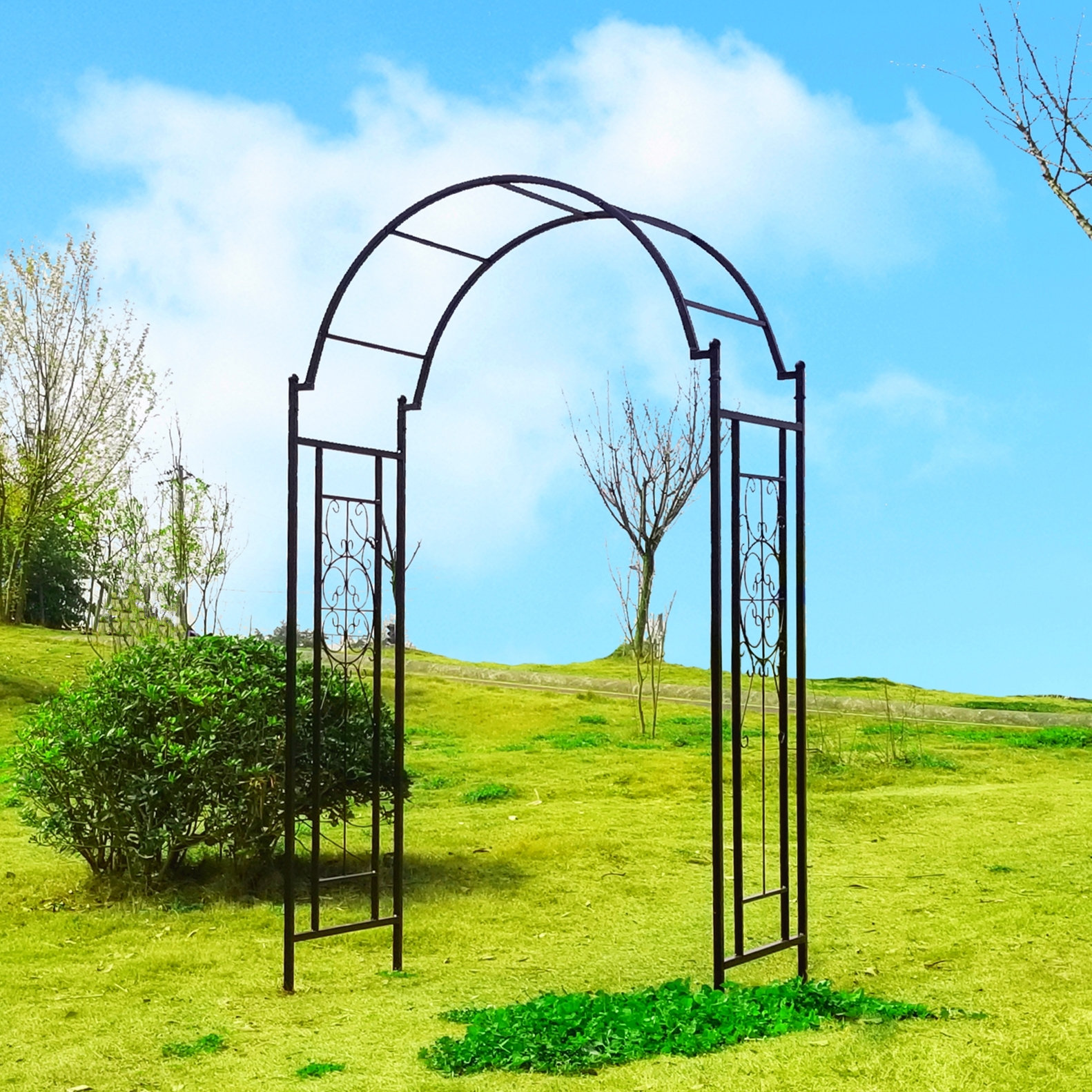 OUTOUR 84'' H x 23'' Iron Arched Trellis & Reviews Wayfair