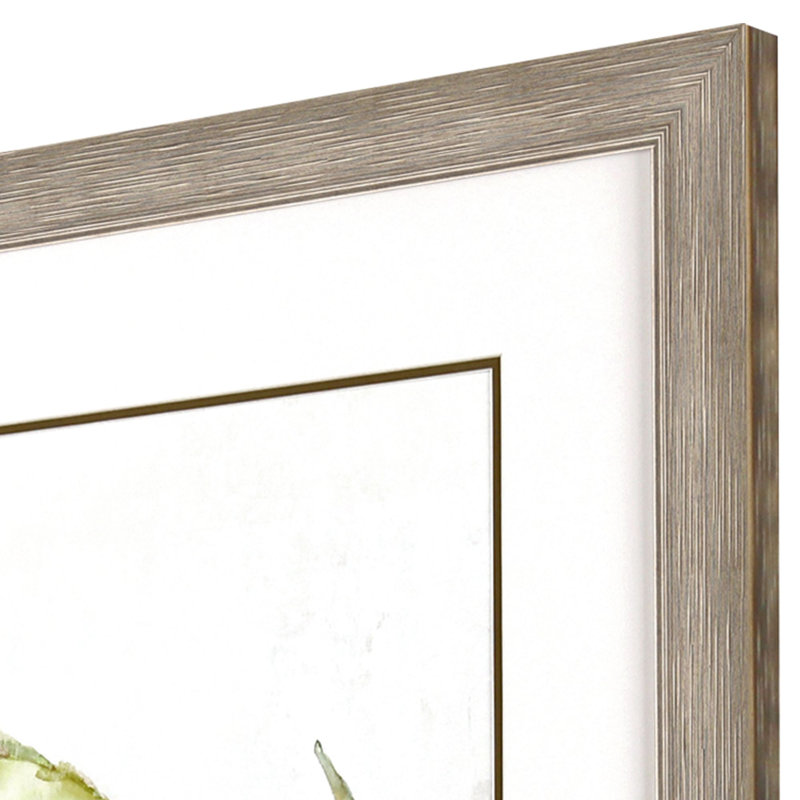 Willow Branch II