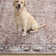 Kuester Oriental Rust Machine Washable Area Rug
