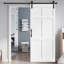 Porte standard à panneaux en bois massif blanc-71829721