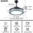 Tasmine 42'' Ceiling Fan with LED Lights