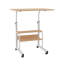 Adjustable Metal Base Computer Desk-1409979068