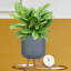 Honeycomb Style Cylinder Round Planter with Feet-379134895