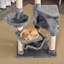 Grady 391.16cm H Cat Tree