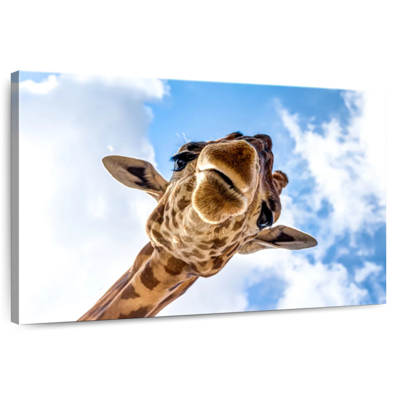 Brampt Curious Giraffe, 34" H x 51" W