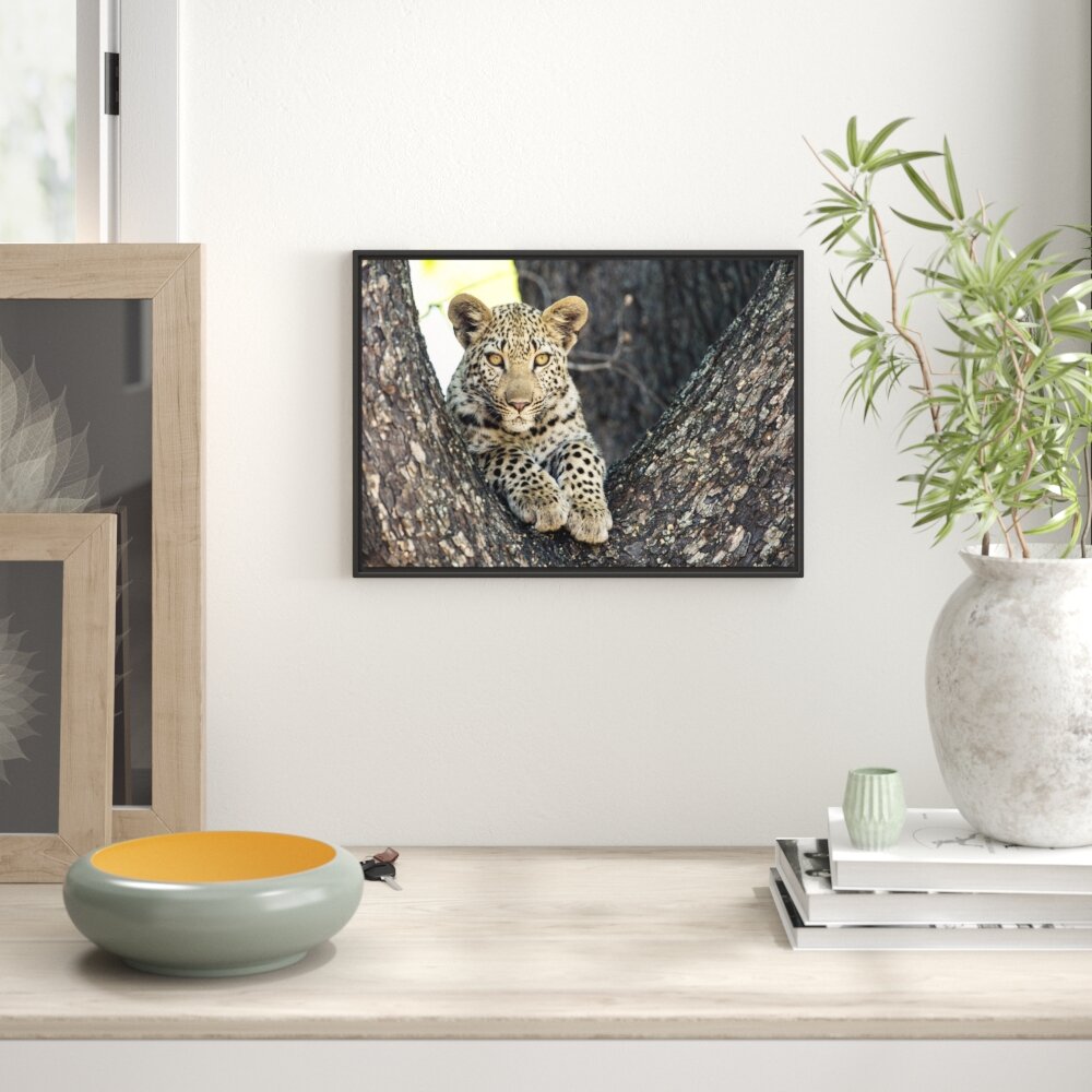 Gerahmtes Wandbild Leopardenbaby