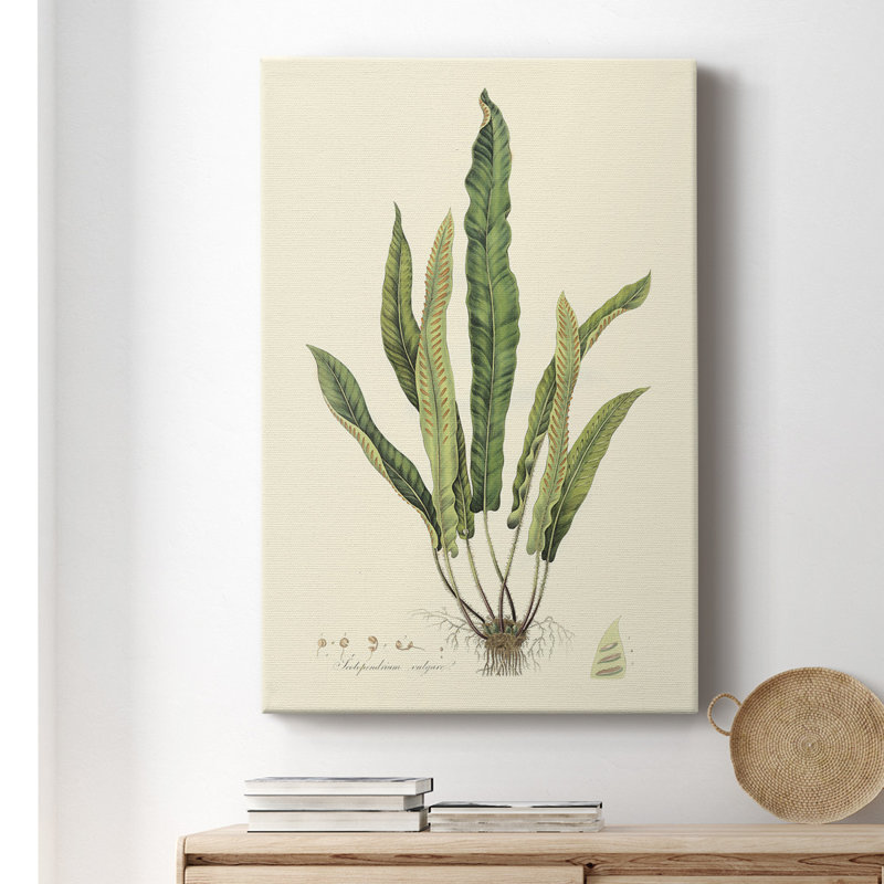 «Curtis Ferns IV», impression sur toile tendue, H 18 po x l 12 po x P 1 po