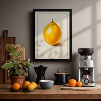 Single Lemon Study Botanical - Framed Print