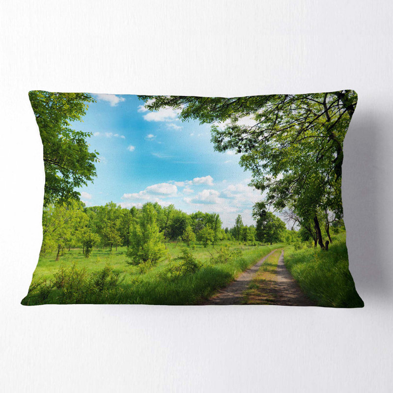 Coussin Forest Road and Sky
