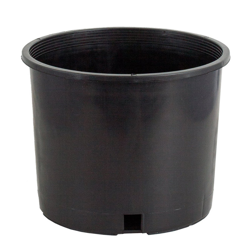 3-Gallon Black Plastic Nursery Pots for Indoor and Outdoor Plants, 10 Pack