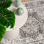 Cauan Area Rug-610722591