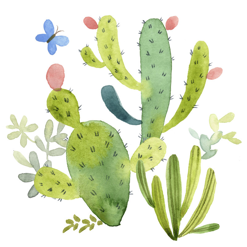 Happy Cactus II, H 12 po x l 12 po x P 1 po