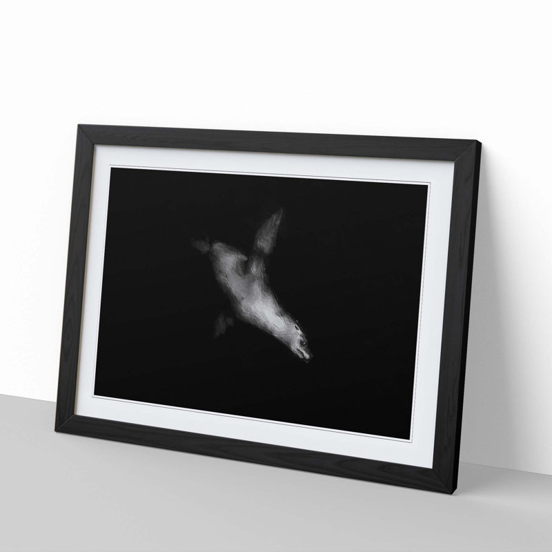 Sea Lion - Picture Frame Painting Print, 27cm H x 36cm W x 2cm D, Black Framed