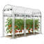 Serre Hoop House