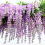 Faux Wisteria Swag-339493247