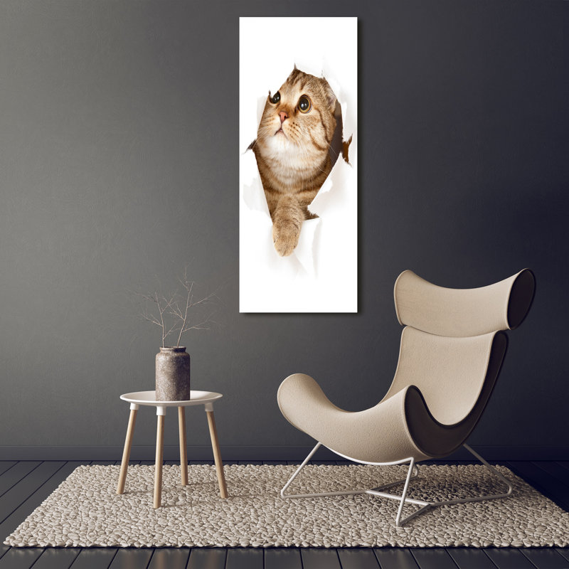 Cat - Wrapped Canvas Print