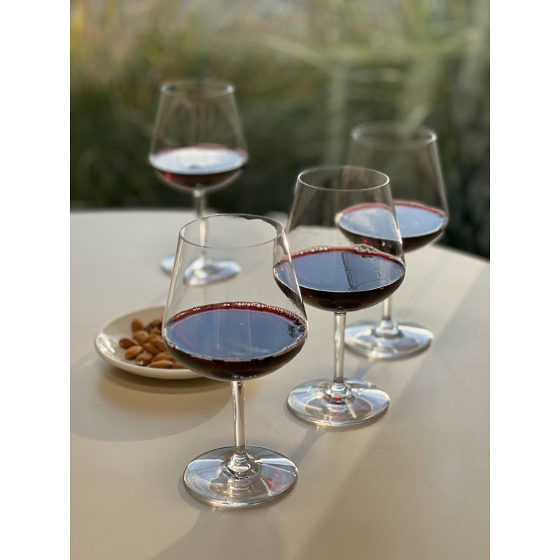 Plastic Wine Glasses Set of 4