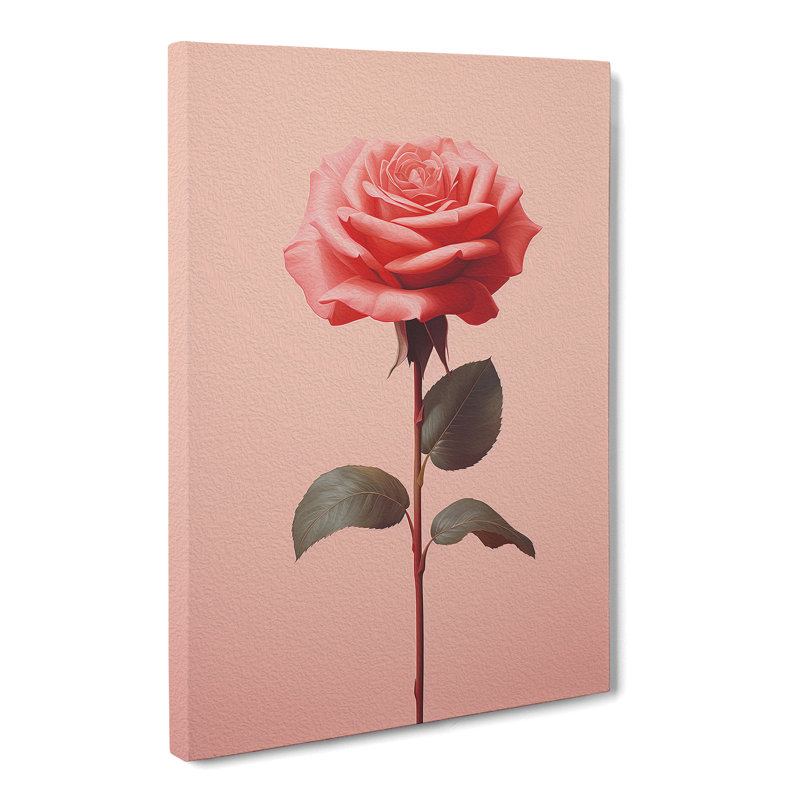 Rose Minimalism No.3 - Wrapped Canvas, 50cm H x 35cm W x 3cm D