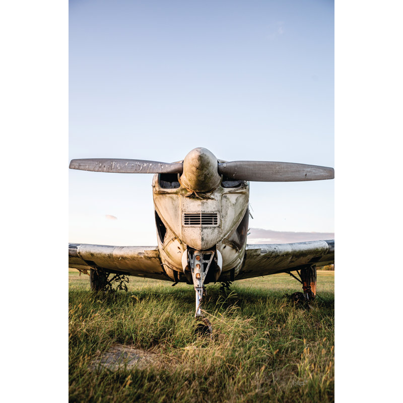 «Last Flight III» par Donnie Quillen - reproduction imprimée, H 30 po x l 20 po, Non, Toile tendue