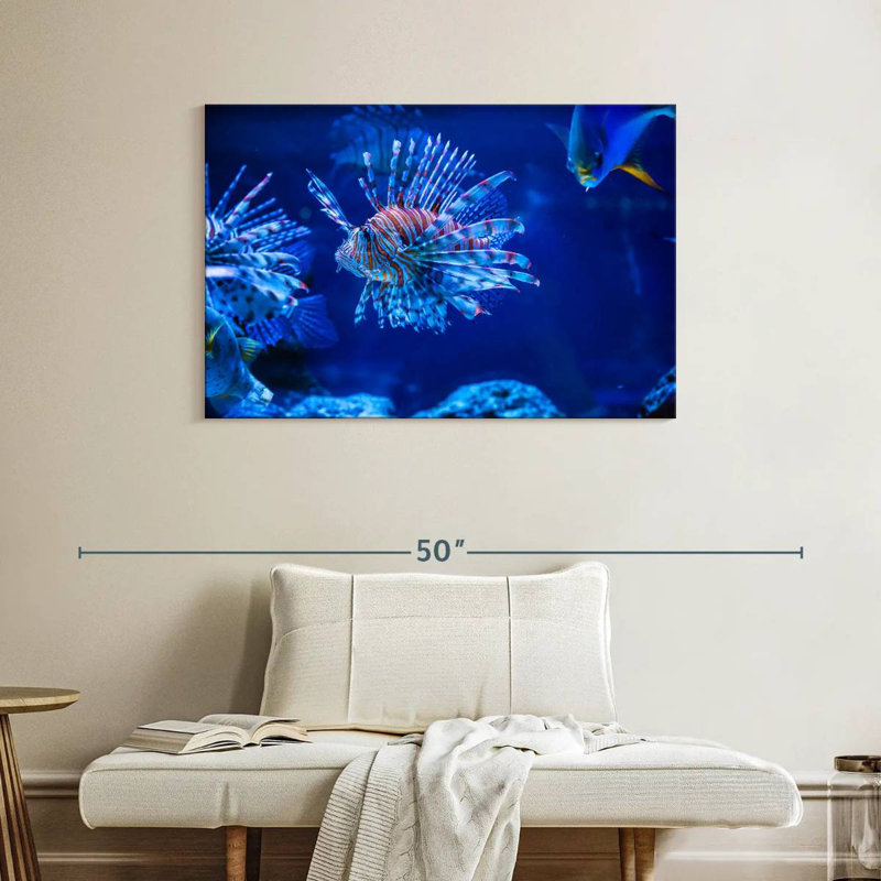 Poisson-lion aquarium Brampt, H 26 po x l 39 po