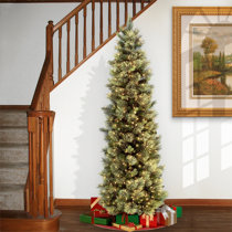 https://assets.wfcdn.com/im/35630200/resize-h210-w210%5Ecompr-r85/2459/245932796/6-6.5+Ft+Joni+Lighted+Pine+Christmas+Tree.jpg