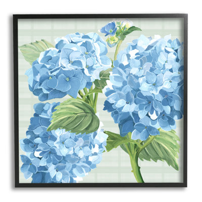 " Blue Hydrangea Blossoms " Graphic Art