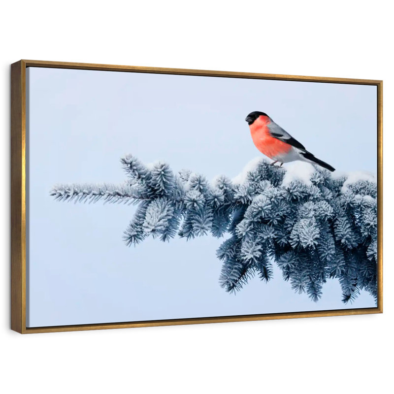 Bouvreuil sur une épinette festive, Cadre flottant doré, 43 po x 29 po