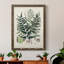 " Collected Ferns VII " Painting Print-356897288-356897294