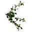 45 cm H Faux Plant-127680958