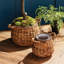 Planter