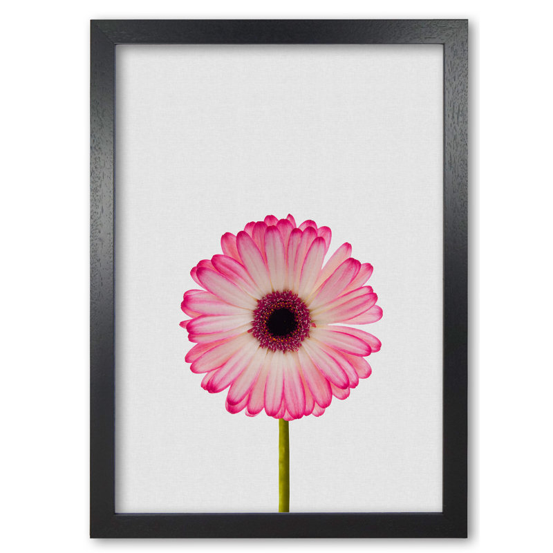 Daisy Still Life - Print, Black Grain Frame, 42 cm H x 30 cm W x 5 cm D