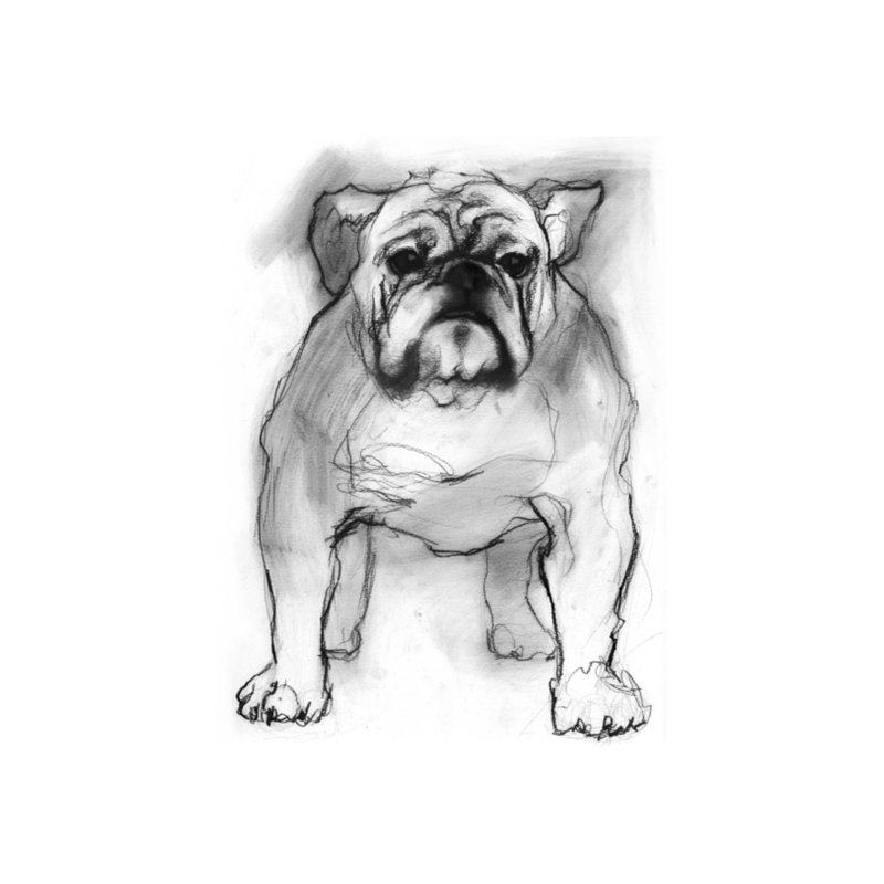 Study Of A Dog I Print by Emma Brooks, 16" H x 14" W x 1.5 D, Outdoor