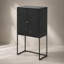 Élégante armoire d'appoint noire avec rangement et fonction d'affichage, parfaite pour les intérieurs modernes et polyvalente