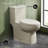 Classe One-Piece Toilet-63694535-44637970