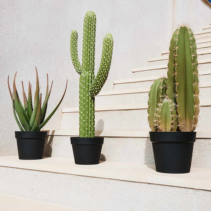 30 cm H Faux Cactus Plant in Plastic Pot