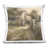 Beige, paysage et nature 1 n'est pas disponible