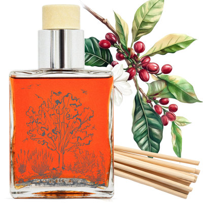 Diffuseur de roseau parfumé espresso