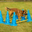 Ensemble d'agilité Dog Cone and Pole