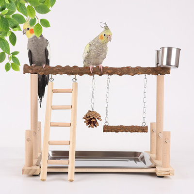 Bird Play Gym With Swing,Ladder,Tray,And Two Cups
