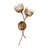 Protea 2-Light Wall Sconce in Manchester by Breegan Jane