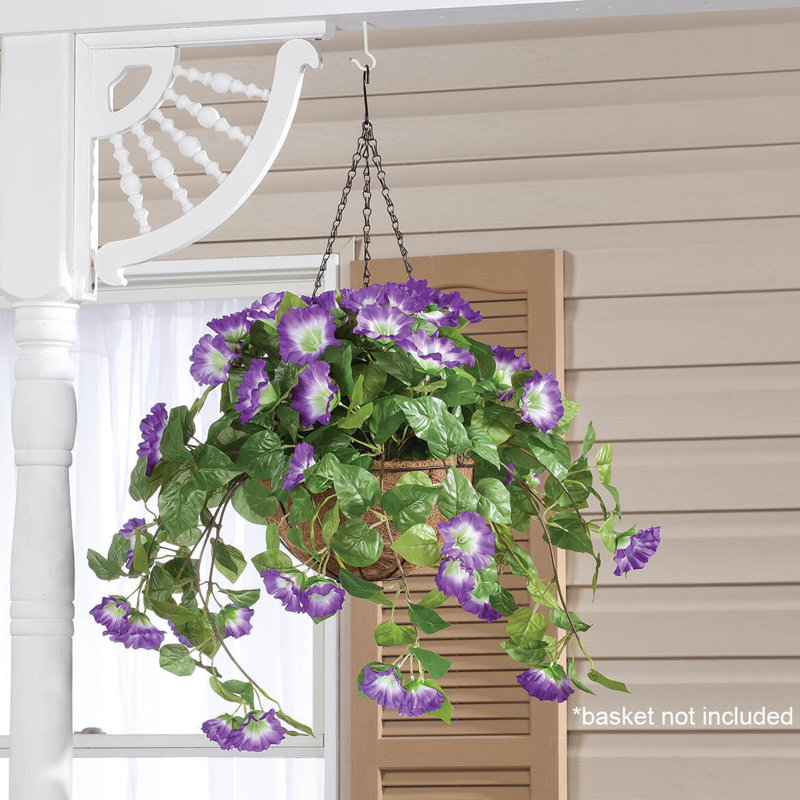 Tige suspendue OakRidge Petunia, Purple