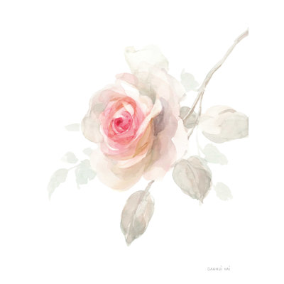 «Gentle Rose II», reproduction sur toile tendue